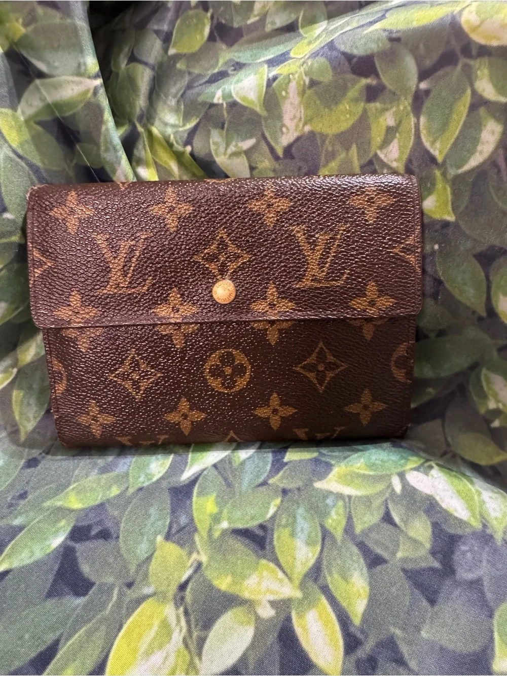 Louis Vuitton Monogram international  Wallet